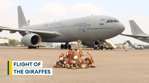 The RAF helps teddy giraffes take to the skies to raise money for Great Ormond Street Hospital
