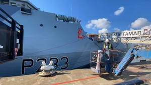 HMS Tamar Gets Her Lions Back