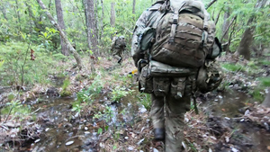 Exercise Rattlesnake: Welsh Cavalry Take On Swamps Of Louisiana  