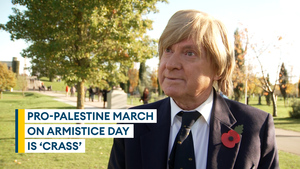 Pro-Palestine march in London on Armistice Day 'offensive', MP says