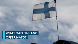 What Finland's military can bring to Nato