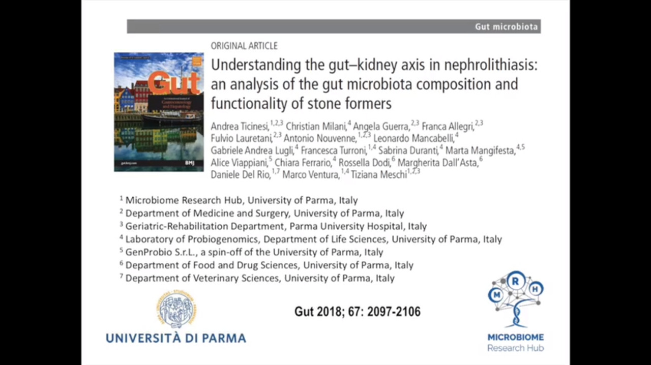 Understanding The Gut Kidney Axis In Nephrolithiasis An Analysis