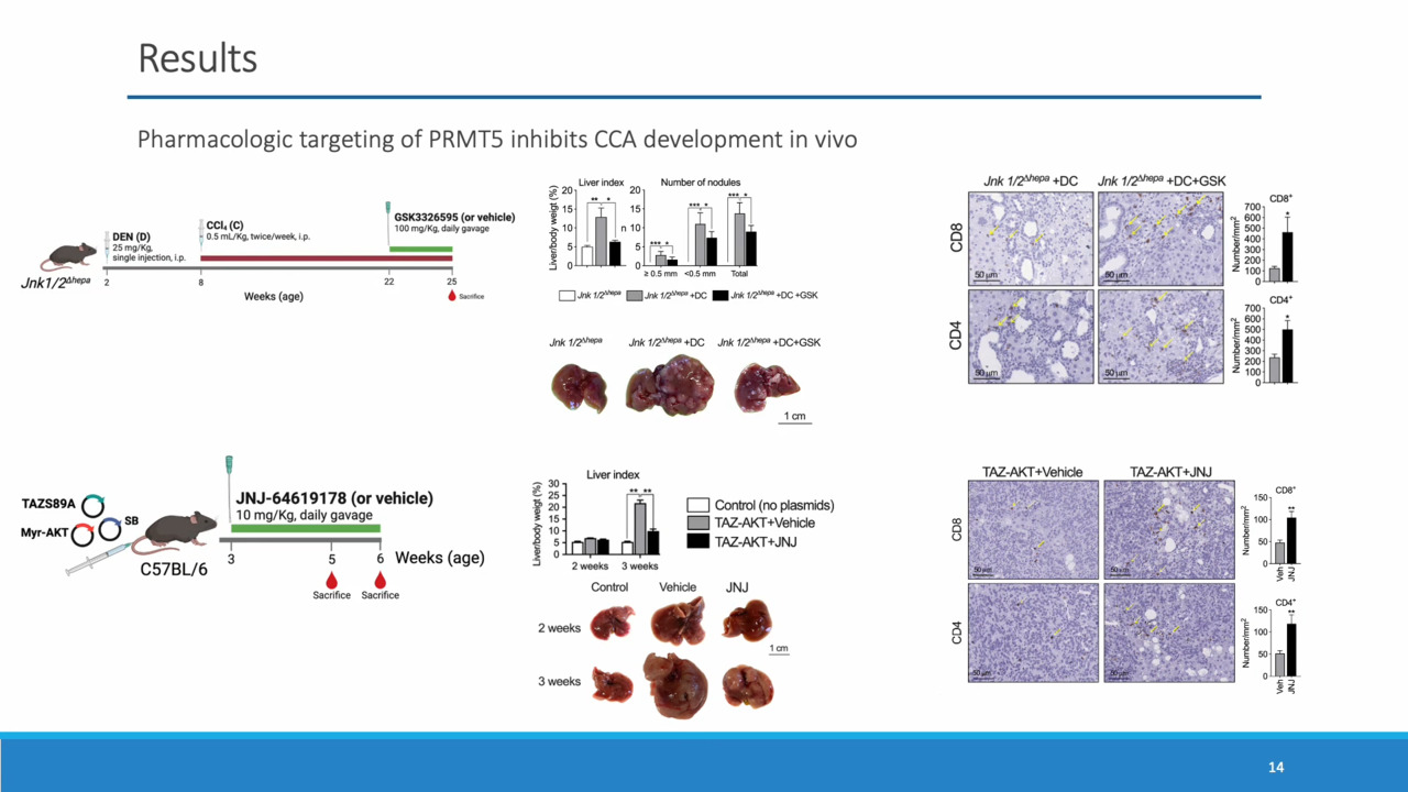 Identification of PRMT5 as a therapeutic target in cholangiocarcinoma | Gut