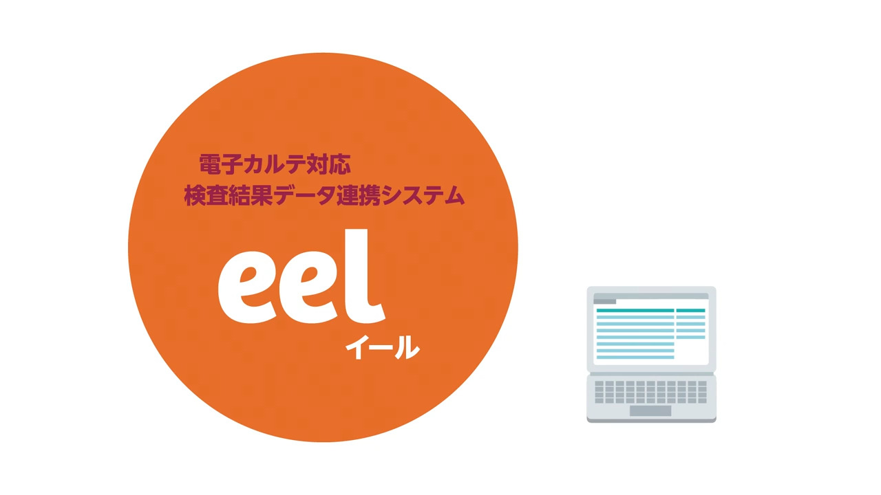 Eel イール