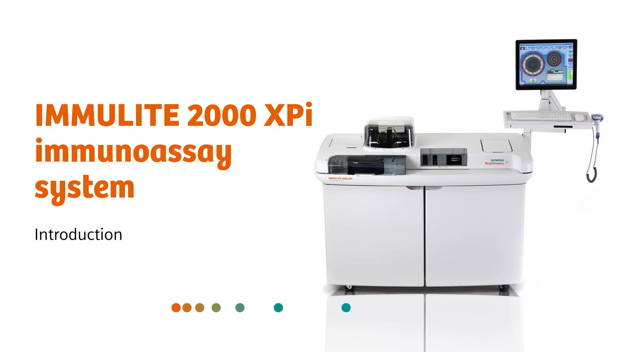 immyです。 image.jpg