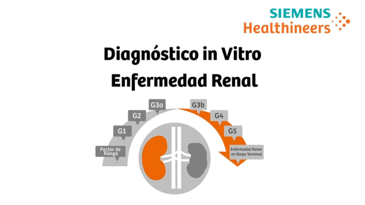 etapas de la enfermedad renal