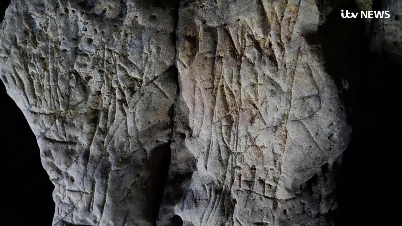 Drop Bear' scratch marks in Witchcliffe cave shed new light on