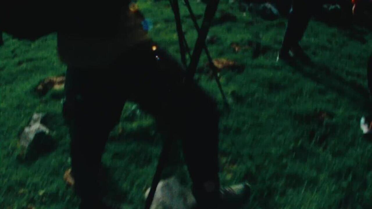 Women’s Mountain Hiking Boots - MH500 LIGHT - Purple - Video 2