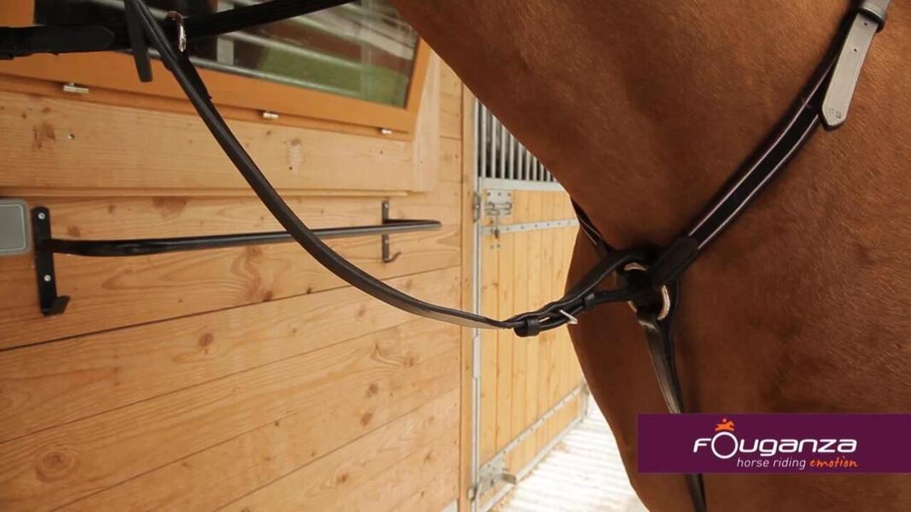 Schooling Horse Riding Breastplate + Martingale For Horse - Brown - Video 2