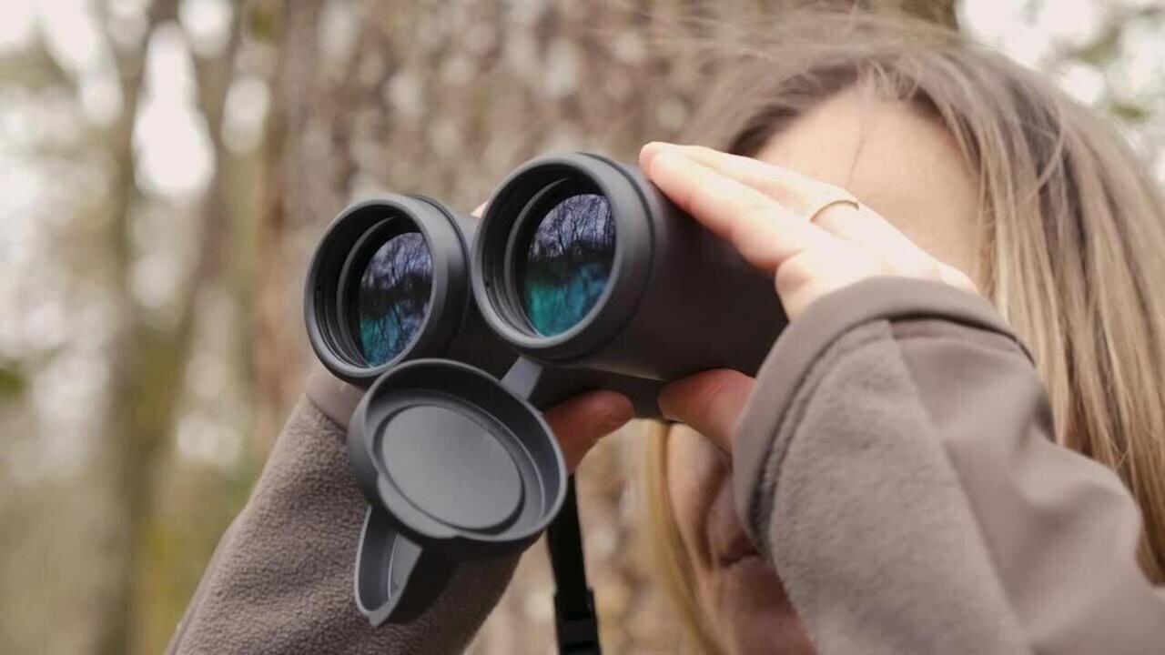 Wildlife Binoculars 100 10x42 Black - Video 2
