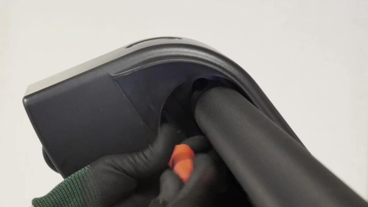 Left And Right Rear Foot - Video 2
