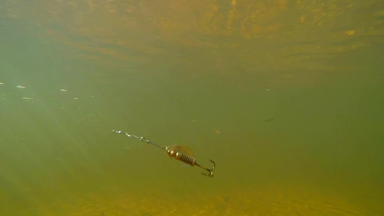 CUILLER TOURNANTE PÊCHE DES CARNASSIERS WETA + #0 OR POINTS ROUGES CAPERLAN