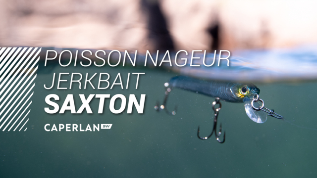 Poisson nageur SAXTON 110SP Ayu pêche au leurre en mer - Decathlon Cote  d'Ivoire