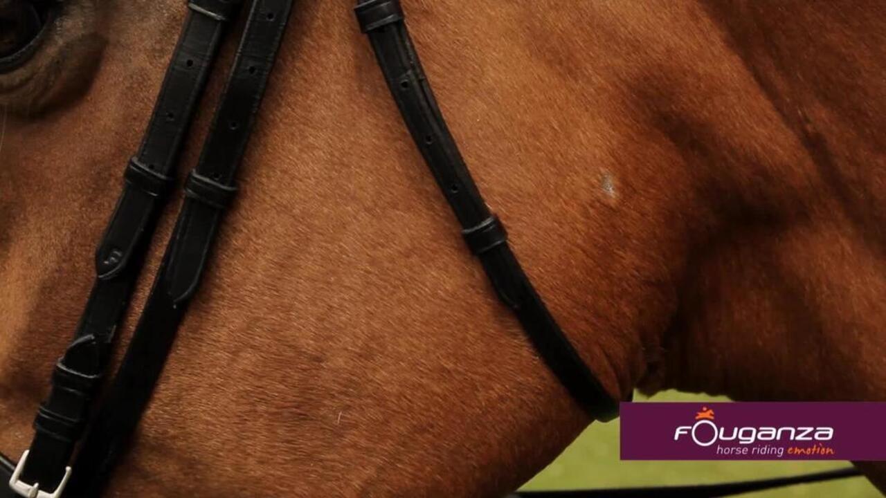 Horse & Pony Leather Bridle Noseband & Reins 100 Black - Video 2