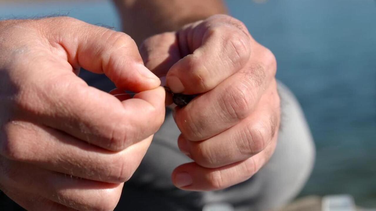 CHELT 75 SOFT FISHING LURE - BLACK BACK - Video 2