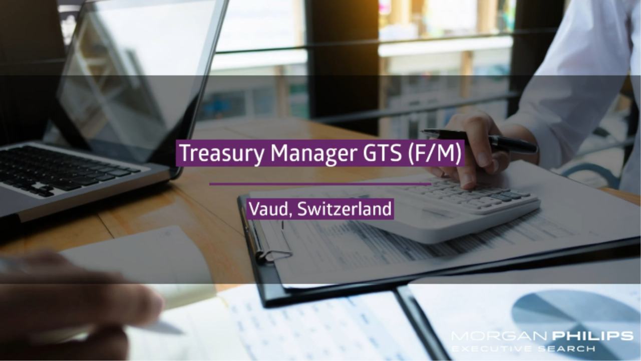 Treasury Manager (F/M)