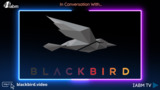 blackbird,blackbird plc.