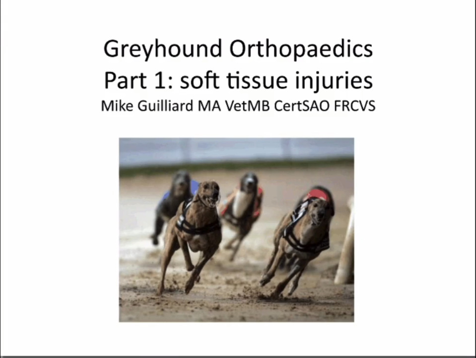 Orthopaedics for the pet and racing greyhound - Part 1: soft