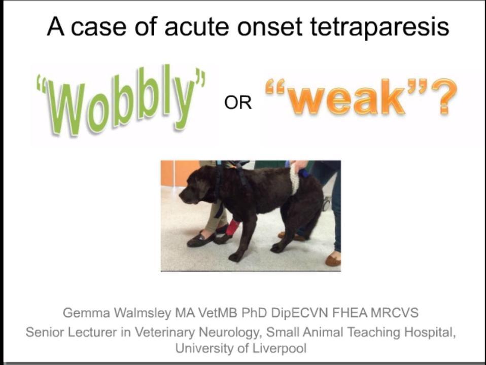 Acute onset tetraparesis - is it wobbly or weak? | Veterinary Webinar Club  Membership