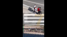 Conflicto entre un chófer de guagua y un usuario en Gran Canaria