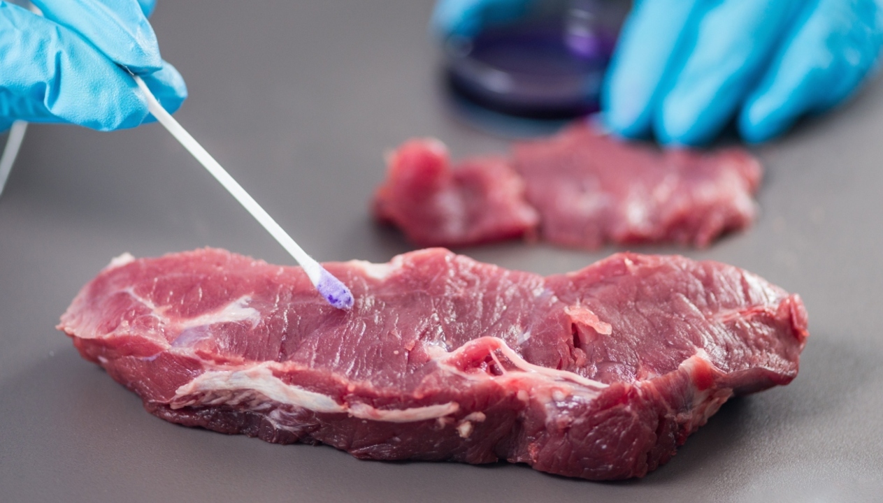 Carne Fiorani richiamata per possibile rischio salmonella: il lotto  segnalato dal Ministero della Salute