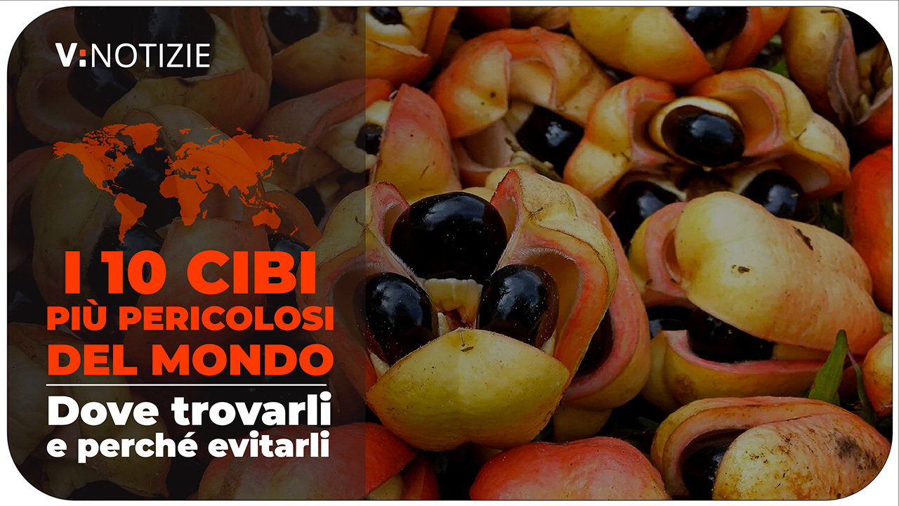 Patatine surgelate: trovato acrilammide e pestidici, ma anche difetti di  cottura. Tra i peggiori Lidl e Findus! – Roma Capitale Magazine