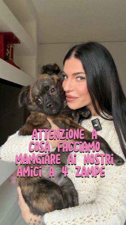 Siamo così: attenzione a cosa diamo da mangiare ai nostri amici a quattro zampe