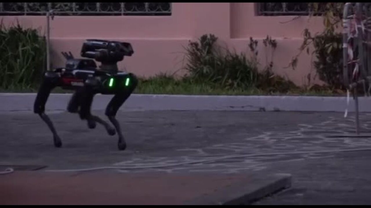 Cane robot dei carabinieri: come verrà usato