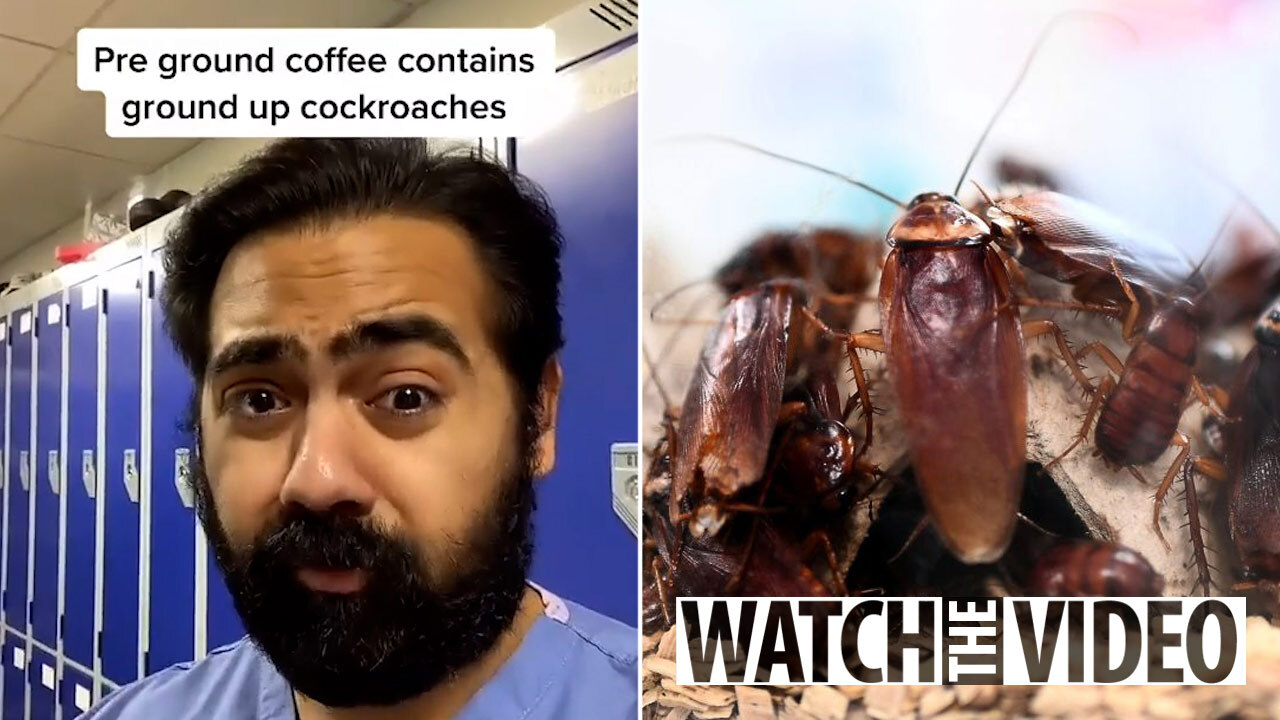 Doctor Claims Ground Coffee Contains Cockroaches In Horrifying Tiktok Video