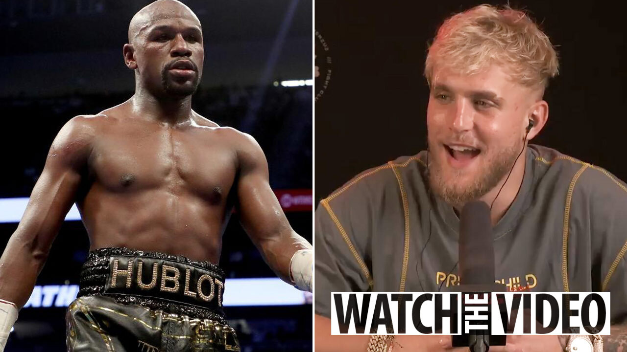 Jake Paul Vs Floyd Mayweather Boxing Records As Two Fighters Compared After Youtuber Makes Jibe At Unbeaten Legend