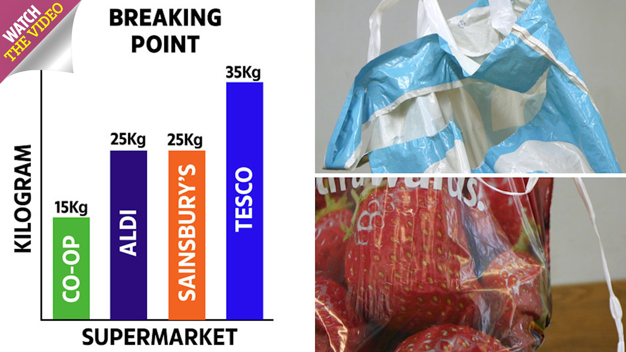 compostable bin bolsas aldi