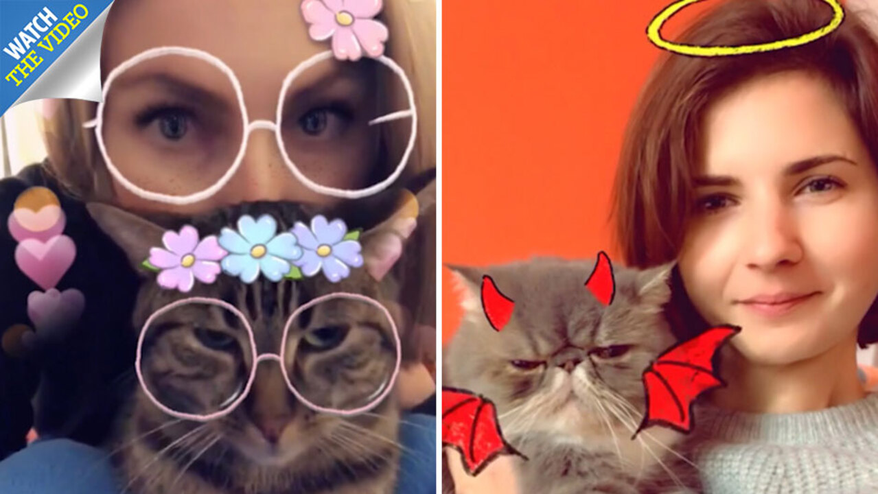 Woman Loses It Over 'Grumpy Cat' Filter On Snapchat