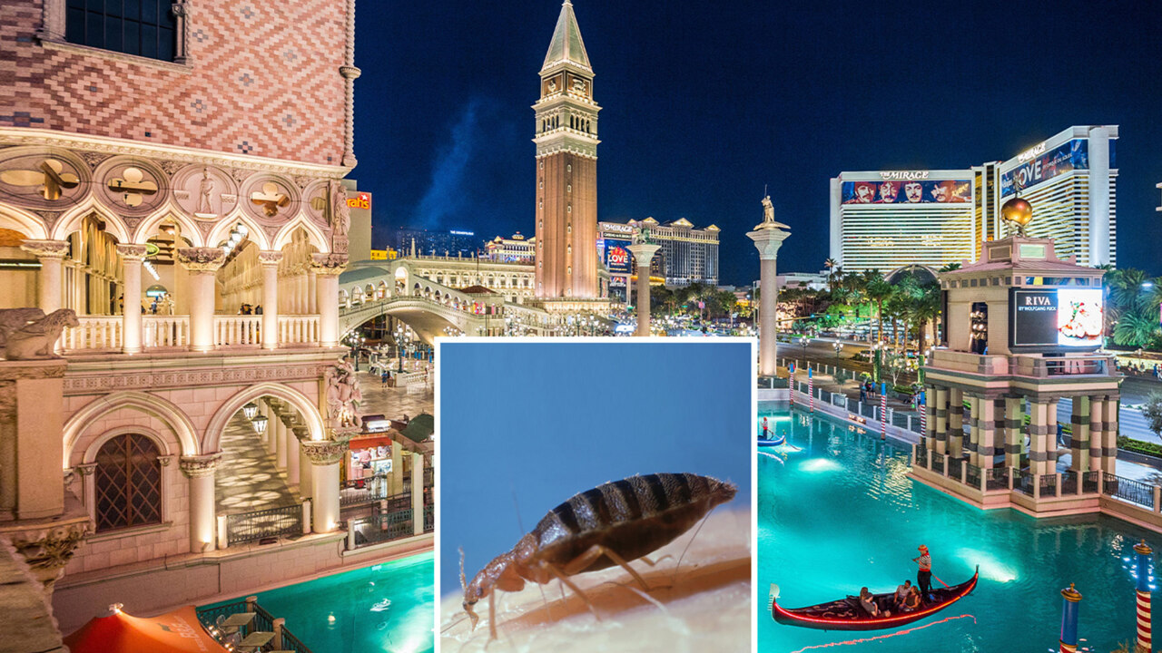 Scorpion Stings 'Traumatized' Las Vegas Hotel Guest in the Testicles
