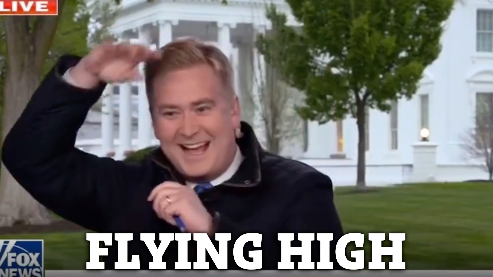 Moment bird lands on Fox News reporter's head in middle of live TV report  as he yells 'what's going on!' | The US Sun