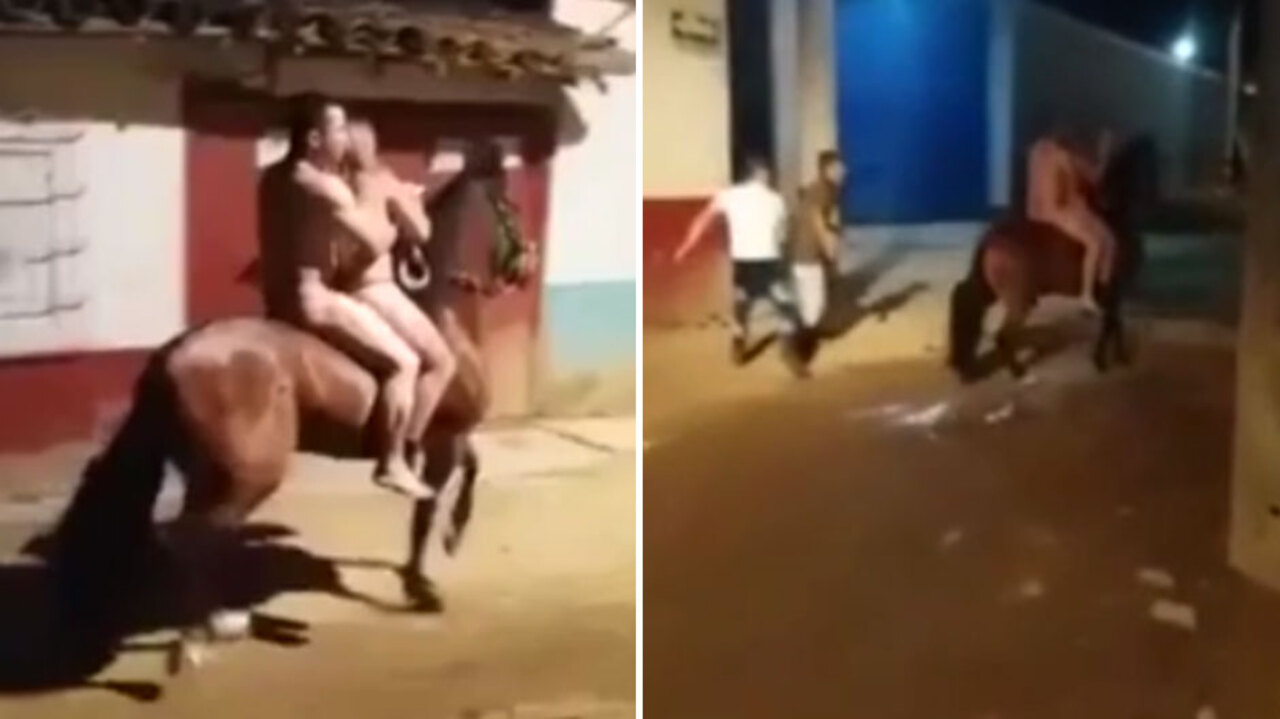 Horse have sex with a girl in Quito