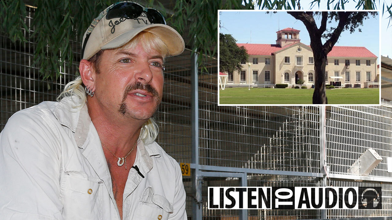 What is Tiger King crypto and why has the price increased?