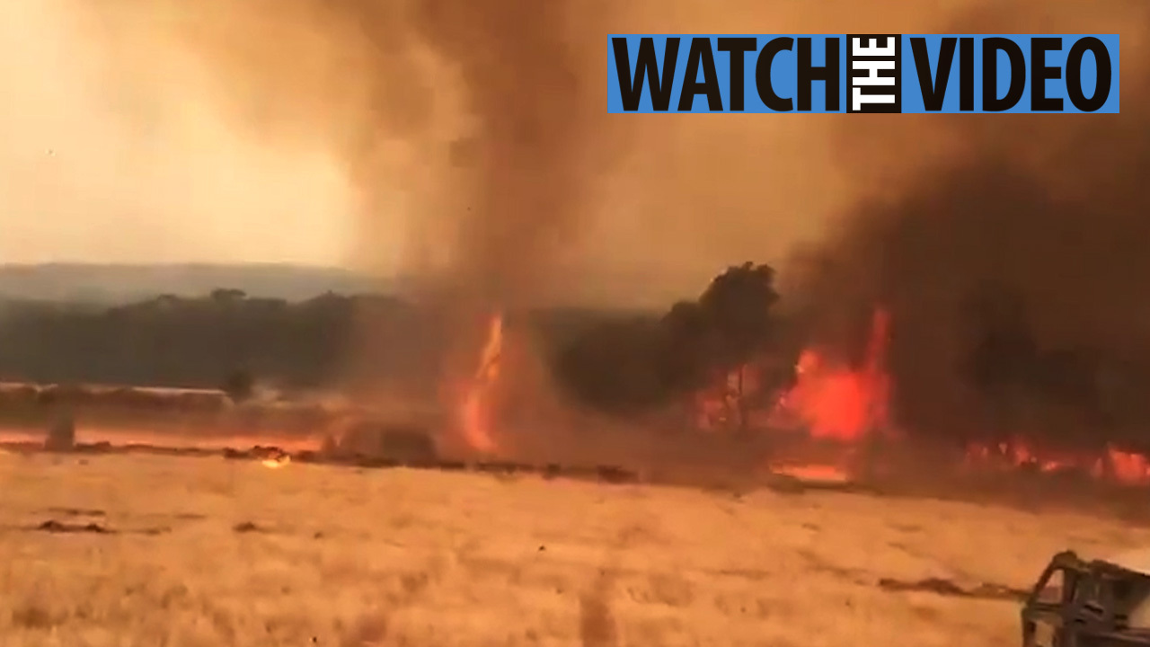 How Did The Australia Fires Start Causes Of The Bushfires Explained