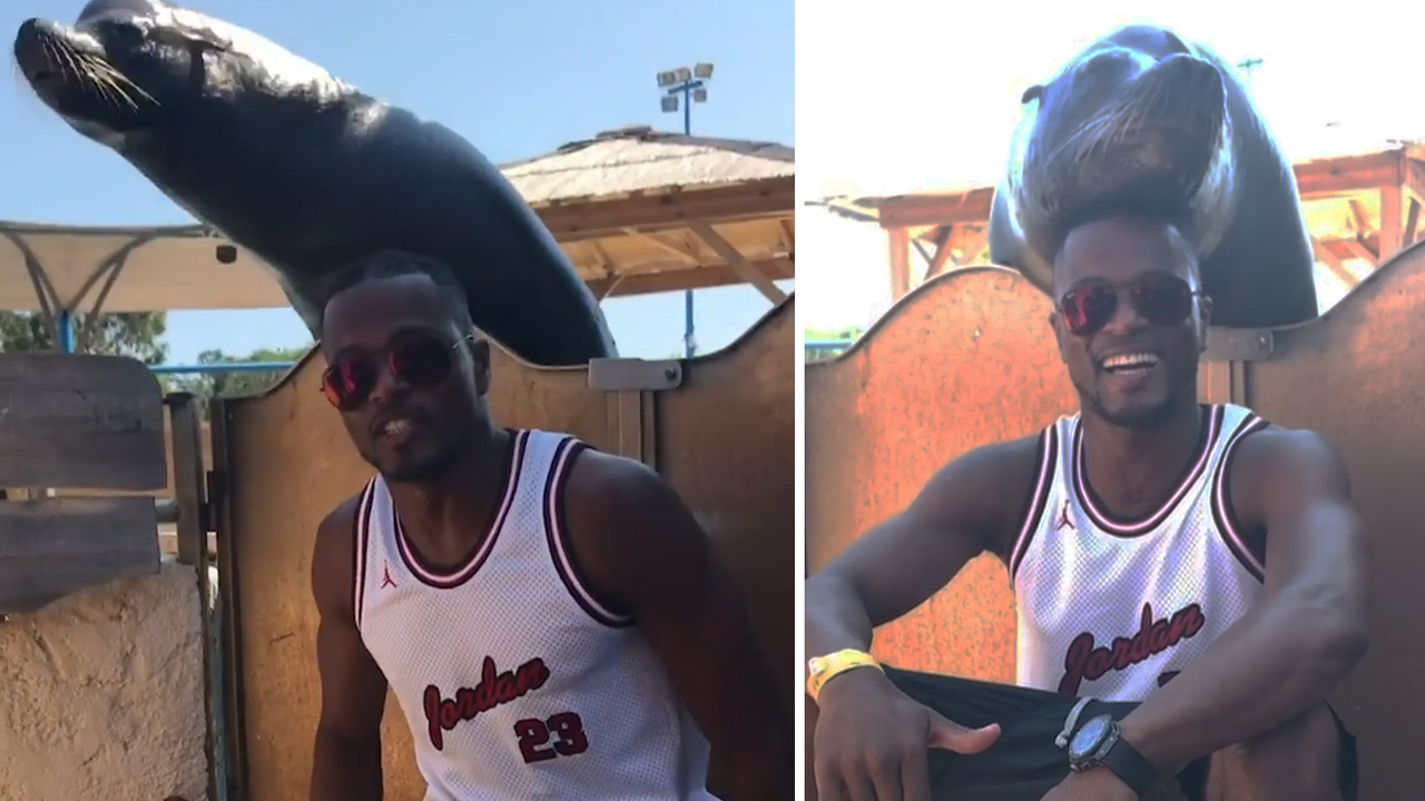 Patrice Evra makes friends with a seal in new video – The Sun