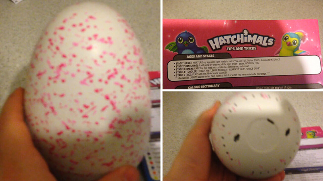 Hatchimals Are Swearing - Parents Say Hatchimals Say Curse Words