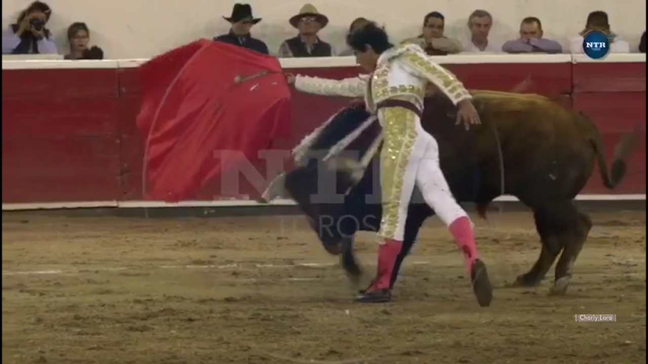 Mexican Bullfighter Is Gored In His Balls And Has To Stem Gushing Blood With His Hands