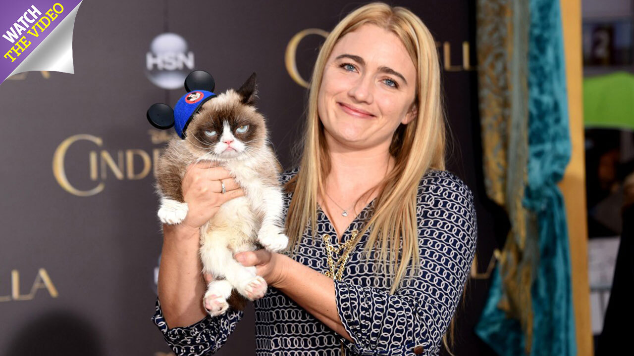 grumpy cat i purred once i thought i was dying