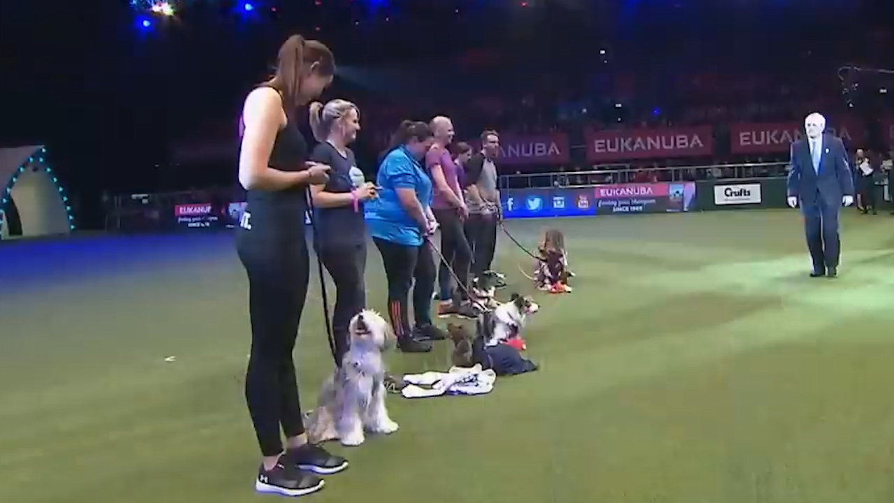 Tickets best sale crufts 2019