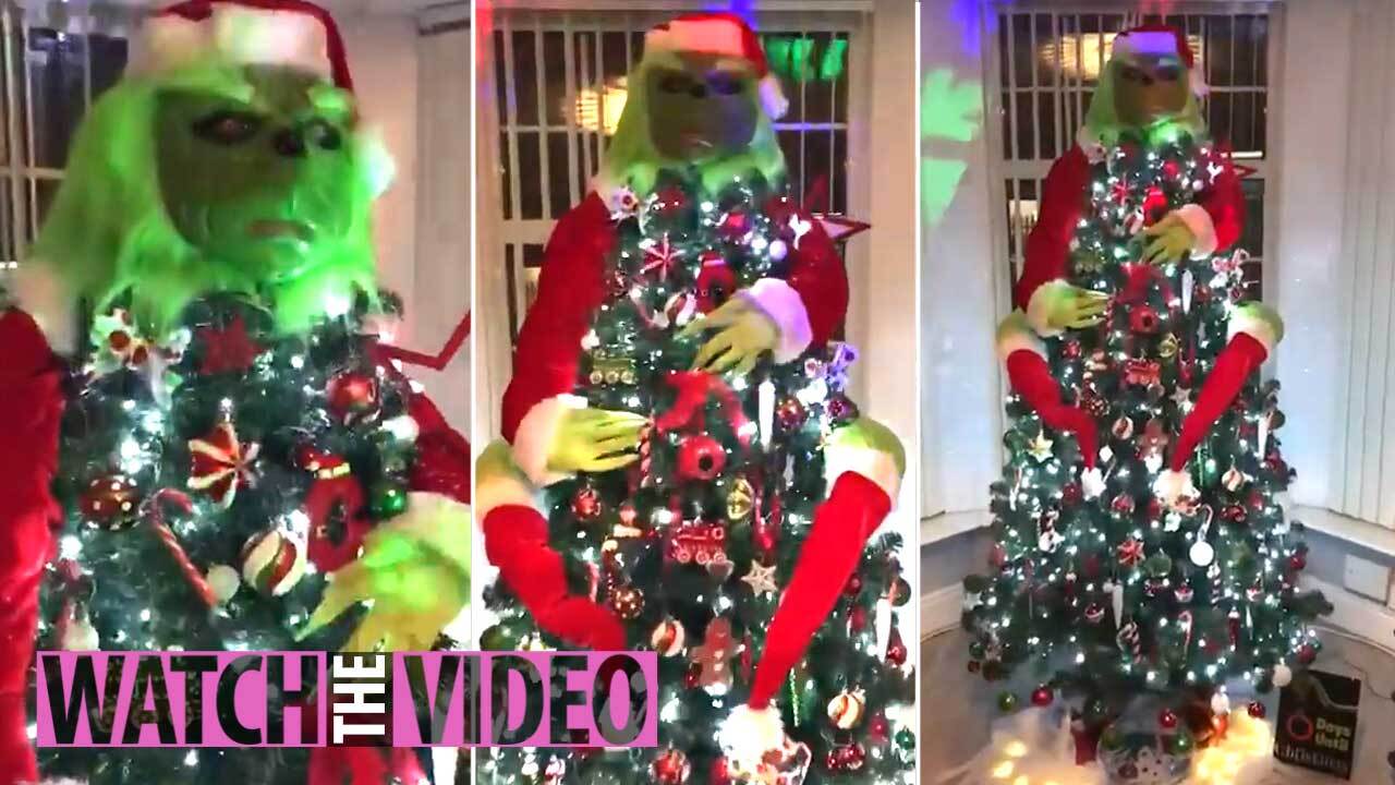 Mum Proudly Shows Off Her Grinchmas Tree And Others Don T Know