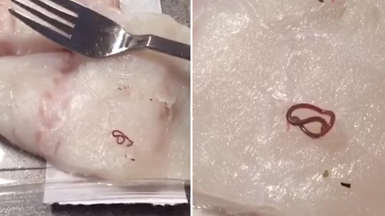 Anfield mum's shock at finding dead WASP in packet of Swizzles sweets -  Liverpool Echo