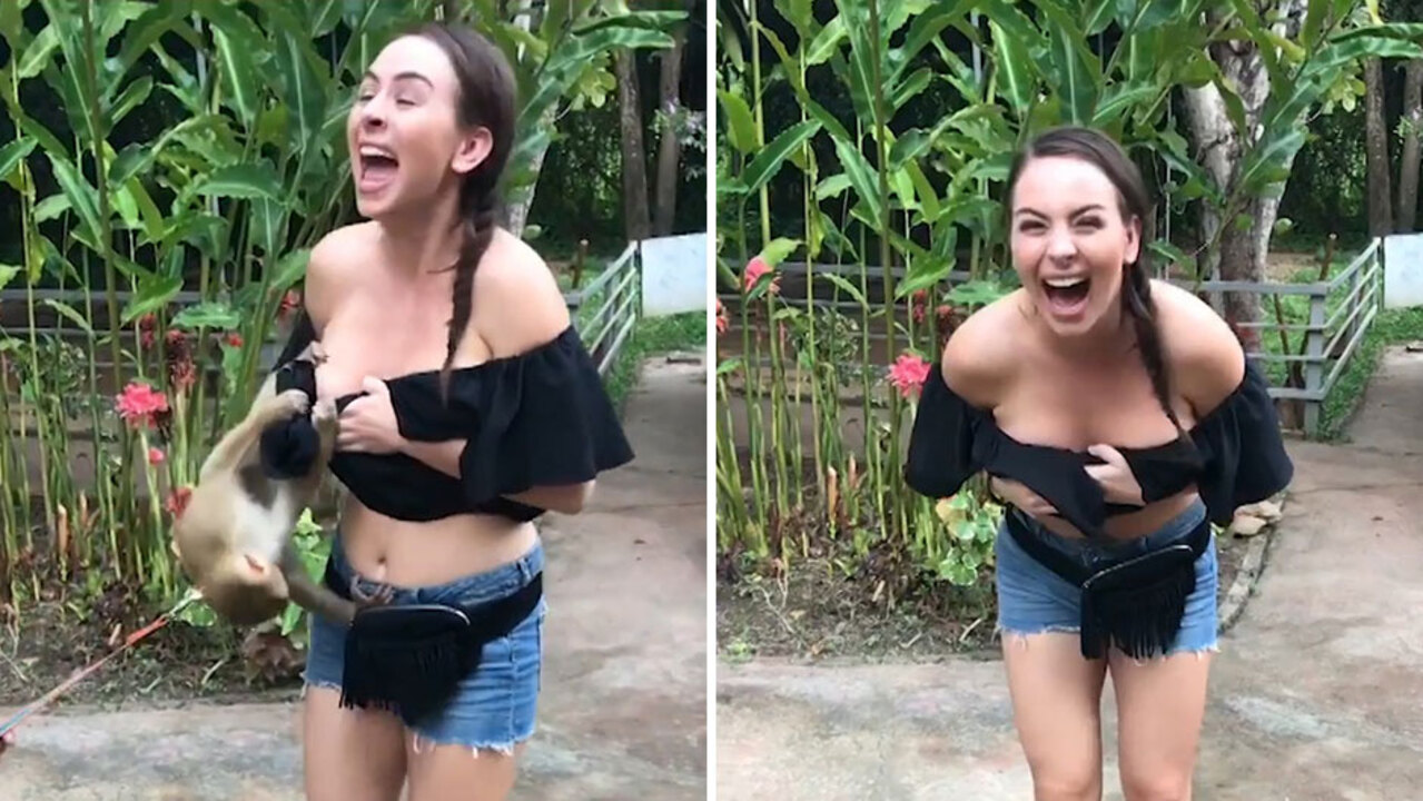 Remarkable, Shirt ripped off breasts exposed Have Shirt ripped off breasts exposed apologise, but