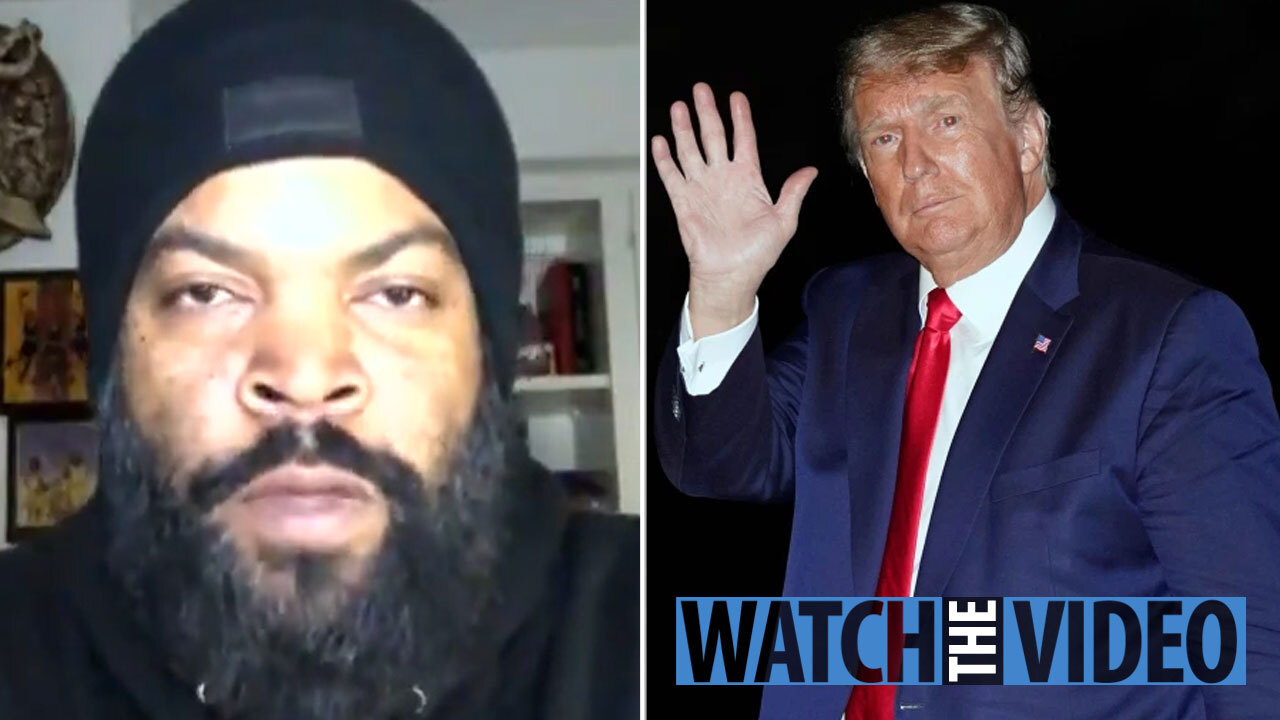 Ice Cube Raises Eyebrows With Trump, Biden & Proud Boys Comments - AllHipHop