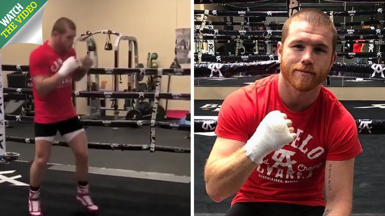 Canelo Alvarez Vector White Muscle T