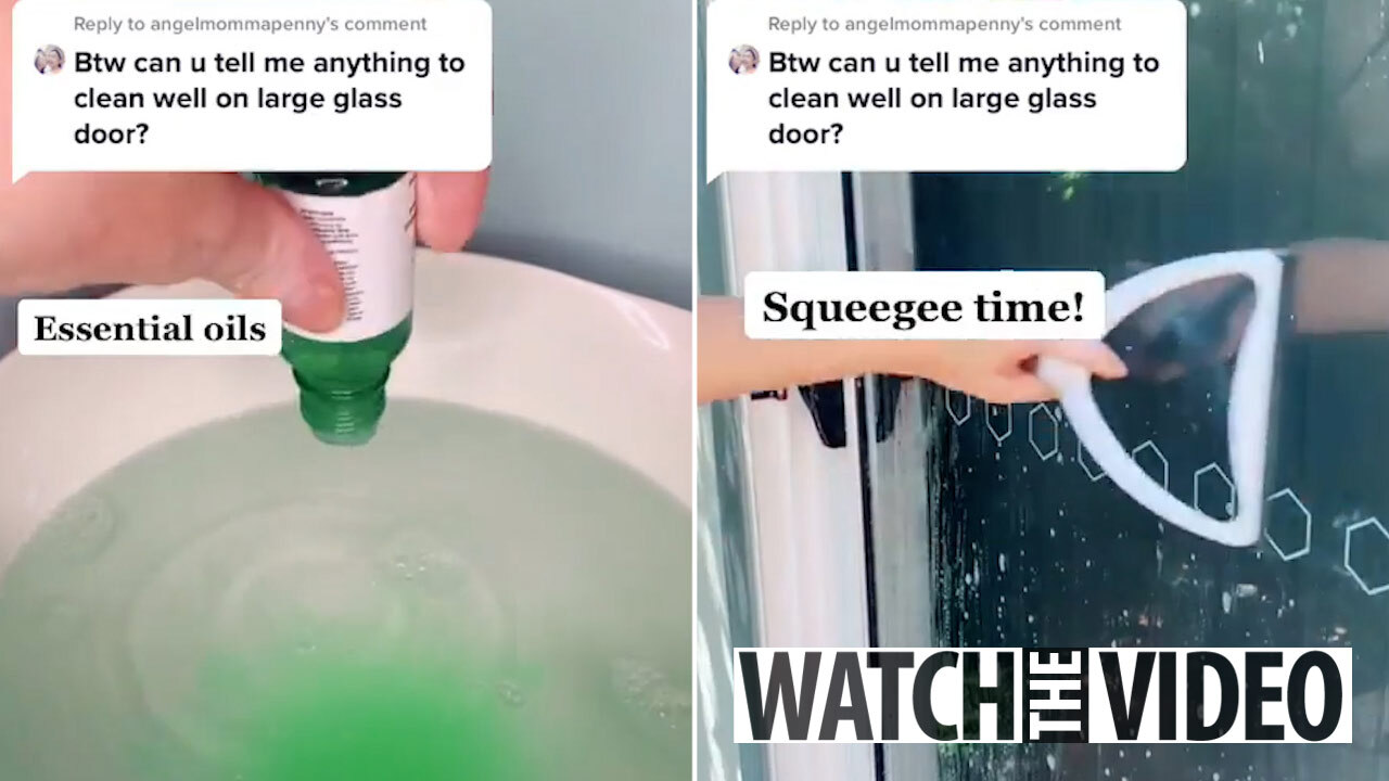 Fabuloso Isn't Just a Forbidden Drink — It's Also a TikTok Toilet Hack