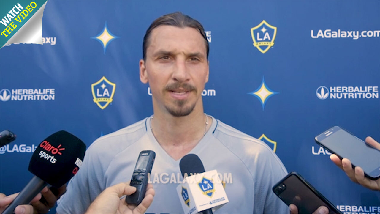 Manchester United could make shock move for Zlatan Ibrahimovic in January  along with Toby Alderweireld and Chelsea's Willian | The Sun