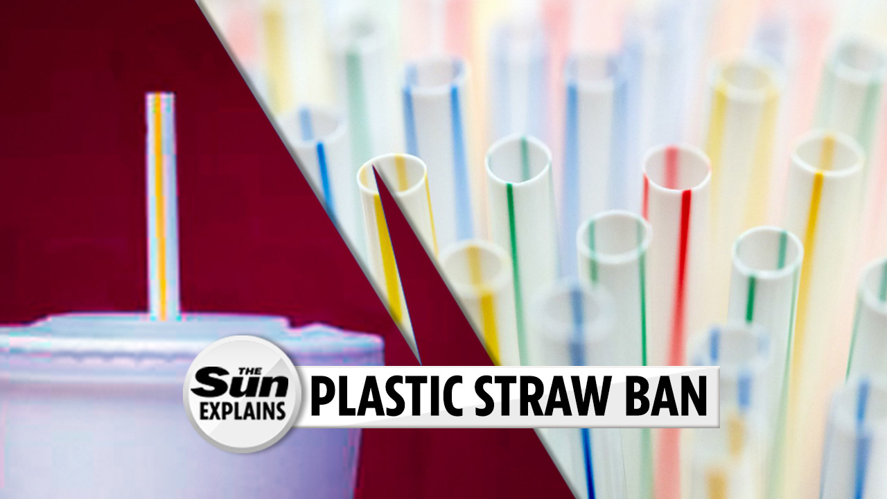 MCDONALD'S: German franchises jettison plastic lids, straws